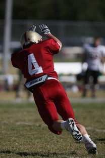 米兰体育赛事-五大联赛争冠球队出场阵容中缺席后的战术重构，五大联赛全胜夺冠的球队  第3张